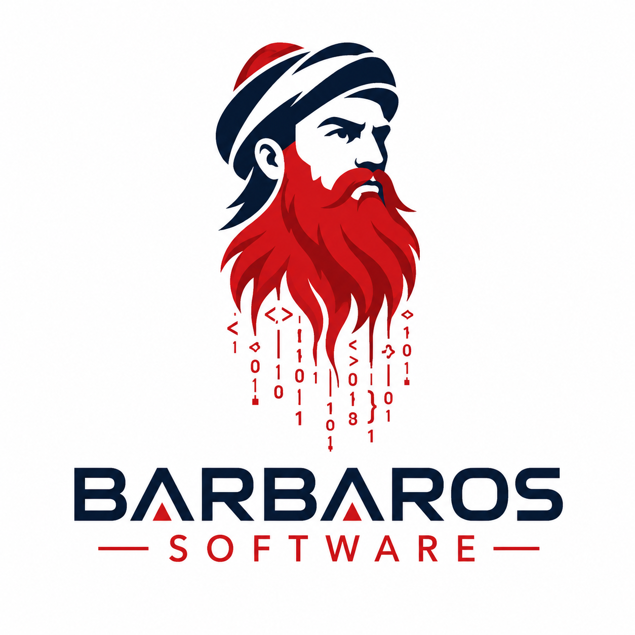 Barbaros Software